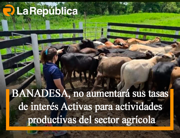 BANADESA, no aumentará sus tasas de interés Activas para actividades productivas del sector agrícola - Cover Image