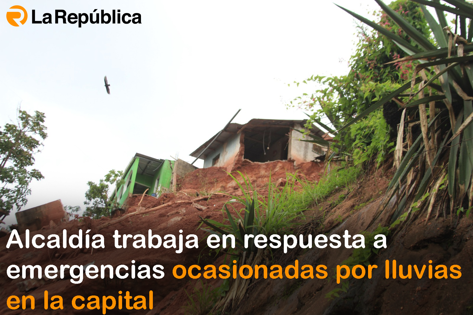 Alcaldía trabaja en respuesta a emergencias ocasionadas por lluvias en la capital - Cover Image