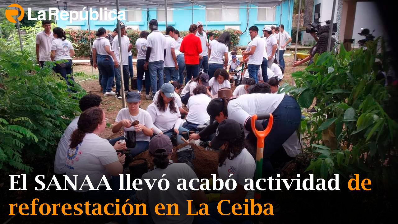 El SANAA llevó acabó actividad de reforestación en La Ceiba  - Cover Image