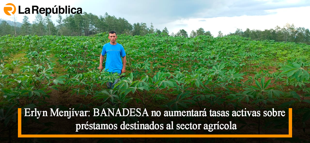 Erlyn Menjívar: BANADESA no aumentará tasas activas sobre préstamos destinados al sector agrícola - Cover Image