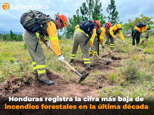 Honduras registra la cifra más baja de incendios forestales en la última década - Cover Image