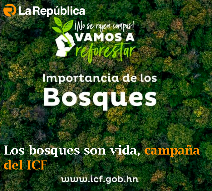 Los bosques son vida, campaña del ICF - Cover Image