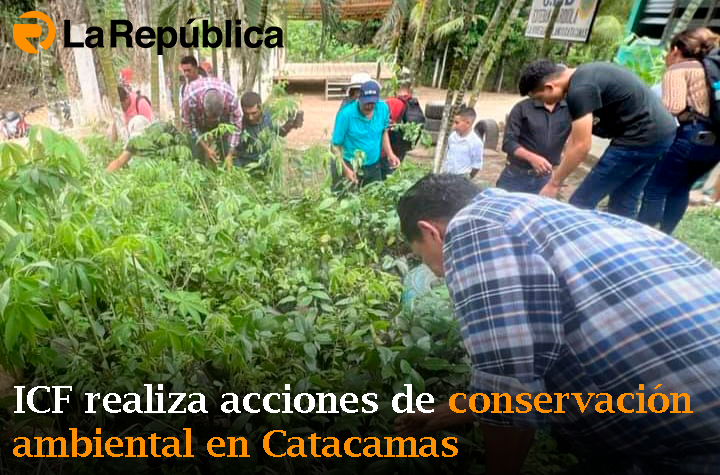 ICF realiza acciones de conservación ambiental en Catacamas - Cover Image