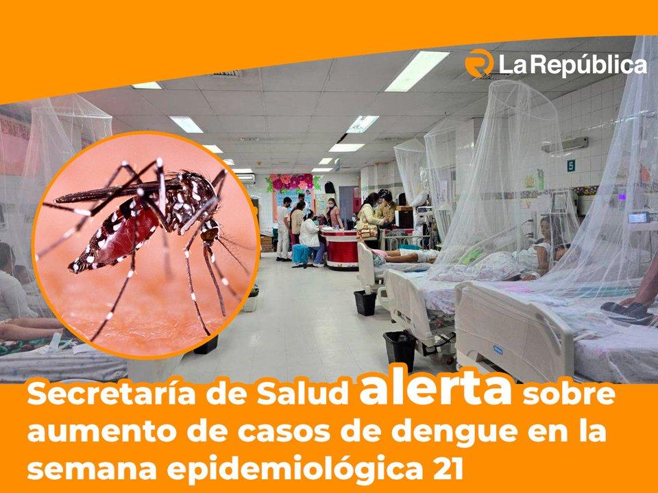  Secretaría de Salud alerta sobre aumento de casos de dengue en la semana epidemiológica 21 - Cover Image