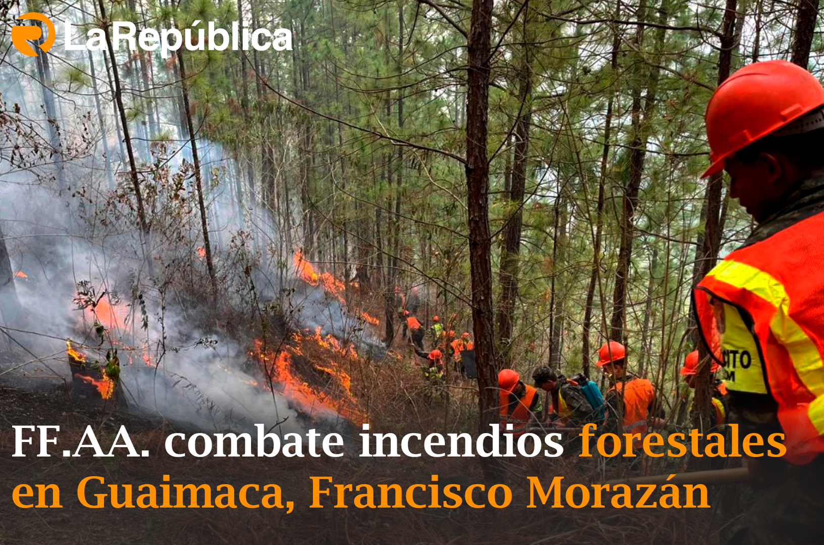 FF.AA. combate incendios forestales en Guaimaca, Francisco Morazán - Cover Image